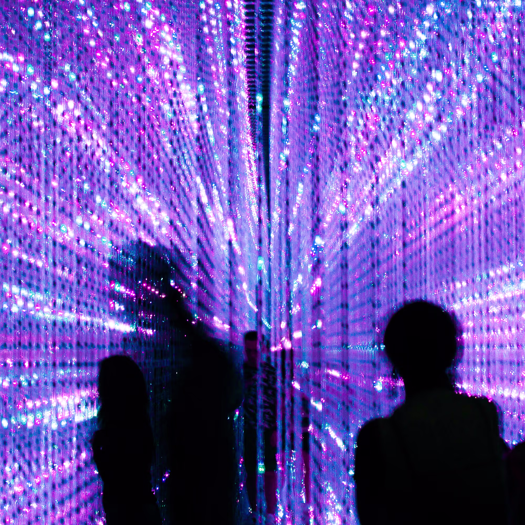 Exposições